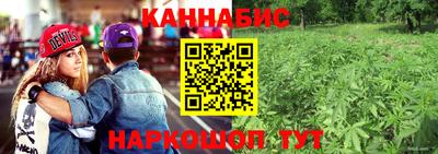 PSILOCYBIN Новозыбков