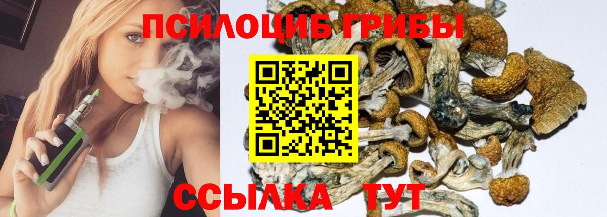 купить  цена  Вход с VPN  Скопин  Галлюциногенные грибы Psilocybine cubensis 
